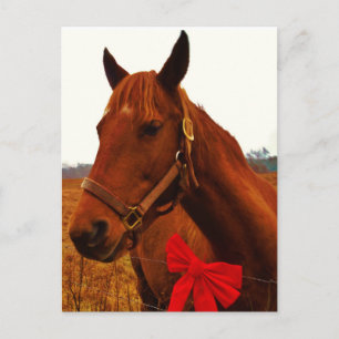 Cartão Postal Cavalo com Laço Vermelho