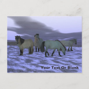 Cartão Postal Cavalo da Aurora