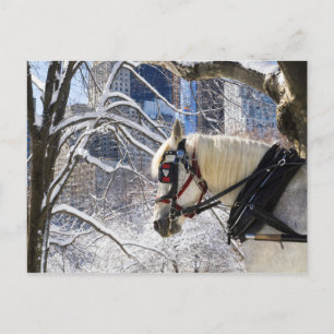 Cartão Postal Cavalo da Carruagem de inverno de neve no Central