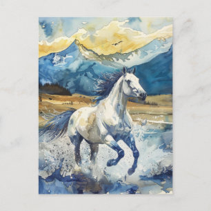 Cartão Postal Cavalo da Montanha