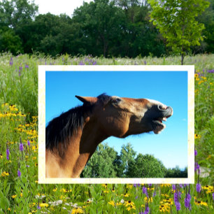 Cartão Postal Cavalo de baía sussurrando no ar