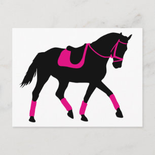 Cartão Postal Cavalo de Dressagem do precioso