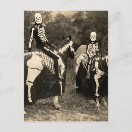 Cartão Postal Cavalo de Esqueleto da década de 1900