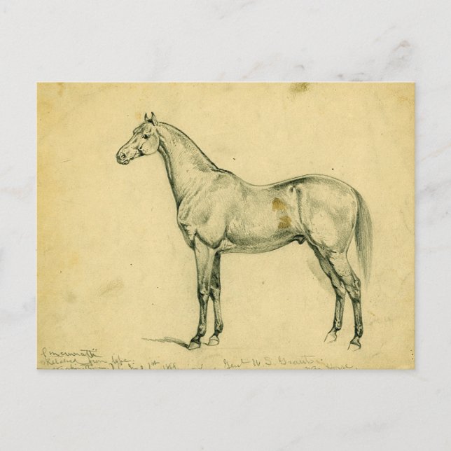 Cartão Postal Cavalo de Guerra do General Grant (Frente)