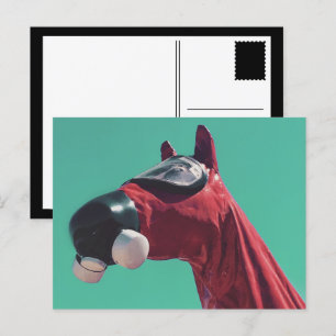 Cartão Postal cavalo de guerra fria