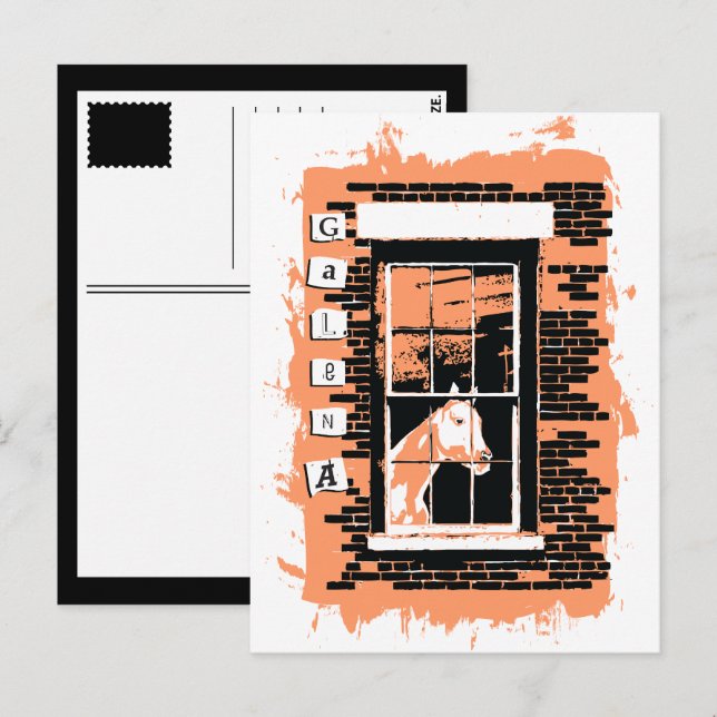 Cartão Postal cavalo de janela galena (Frente/Verso)