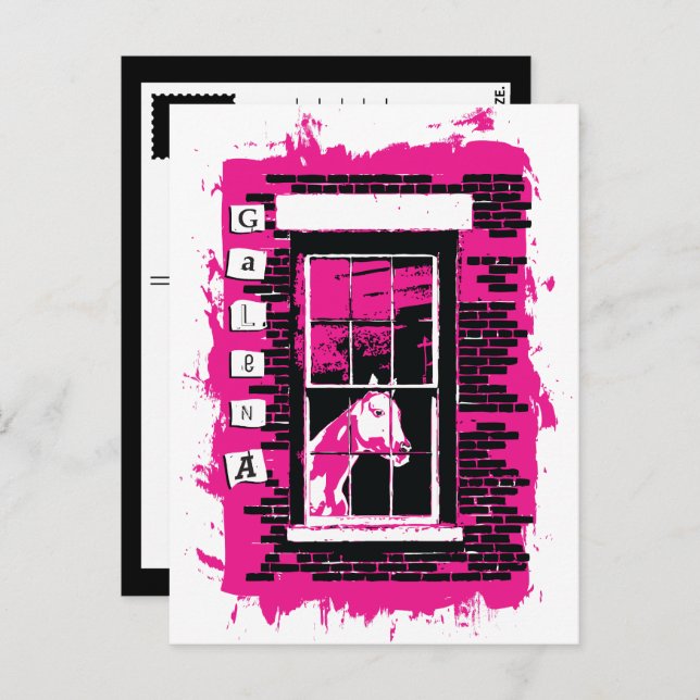 Cartão Postal cavalo de janela galena (Frente/Verso)