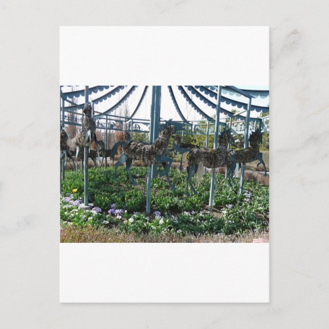 Cartão Postal cavalo de jardim (Frente)