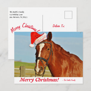 Cartão Postal Cavalo de Natal Feliz Personalizado em um Chapéu