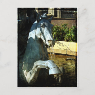 Cartão Postal Cavalo de Netuno, Detalhe da Fonte da Plaza 2