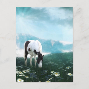 Cartão Postal Cavalo de pintura