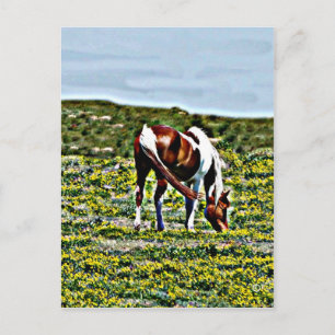 Cartão Postal Cavalo de pintura com flores amarelas