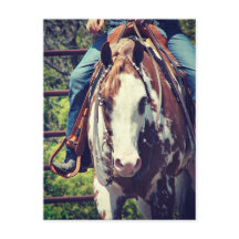 Cavalo de Pintura Ocidental