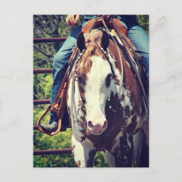 Cartão Postal Cavalo de Pintura Ocidental