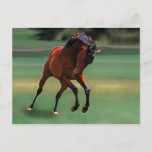 Cartão Postal Cavalo de Rodeo para o vaqueiro