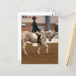 Cartão Postal Cavalo de Tinta 134 em um Horso Show