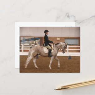 Cartão Postal Cavalo de Tinta em um Show de Cavalos