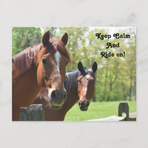 Cartão Postal Cavalo de trás