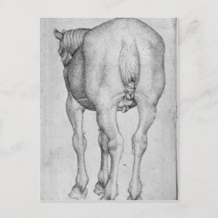 Cartão Postal Cavalo, do Álbum Vallardi