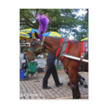 Cavalo do Parque Central