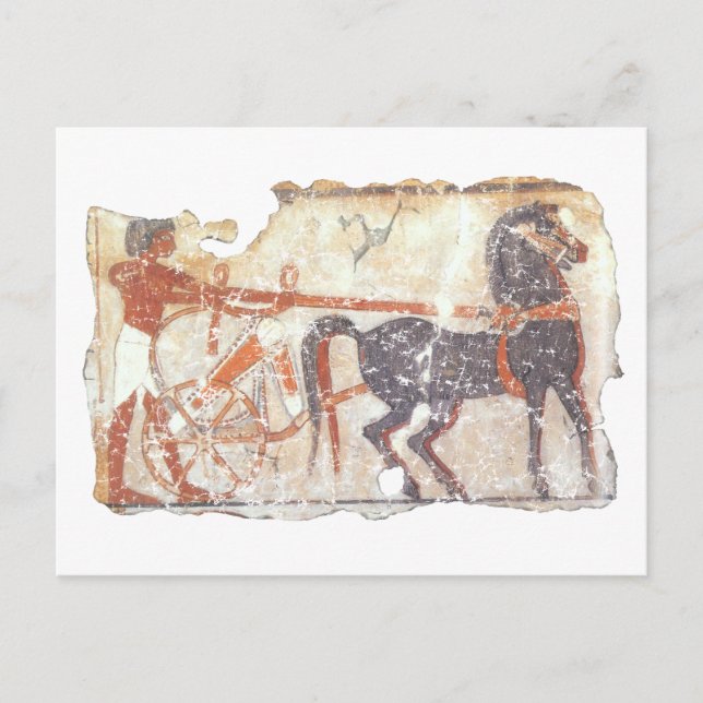 Cartão Postal Cavalo e carruagem (Frente)