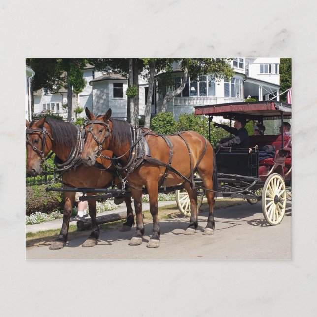 Cartão Postal Cavalo e Carruagem na Ilha Mackinac MI (Frente)