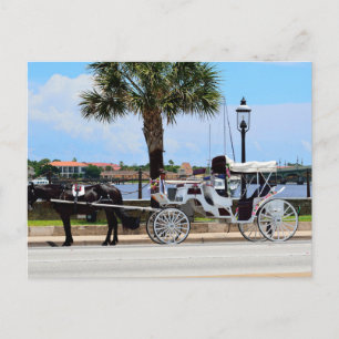Cartão Postal Cavalo e carruagem St. Augustine, Fl.