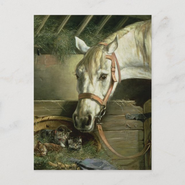 Cartão Postal Cavalo e gatinhos, 1890 (Frente)