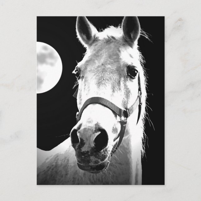 Cartão Postal Cavalo e Lua (Frente)