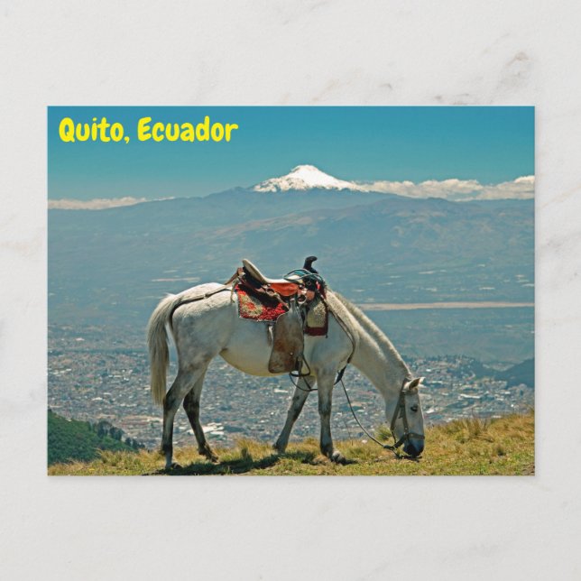 Cartão Postal Cavalo e vulcão, Quito, Equador (Frente)