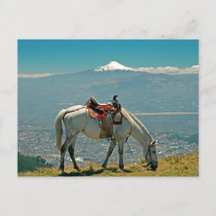 Cartão Postal Cavalo e vulcão, Quito, Equador