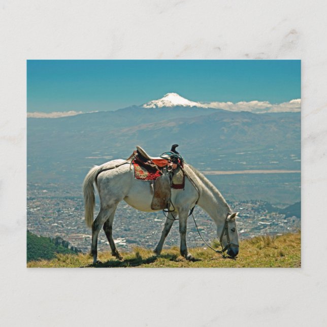 Cartão Postal Cavalo e vulcão, Quito, Equador (Frente)