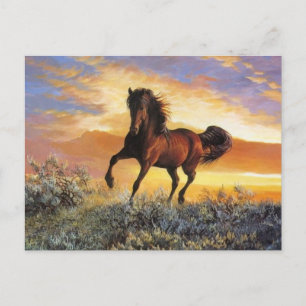 Cartão Postal Cavalo em Execução