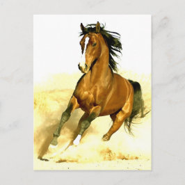 Cartão Postal Cavalo em Execução