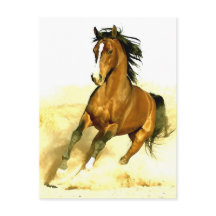 Cavalo em Execução