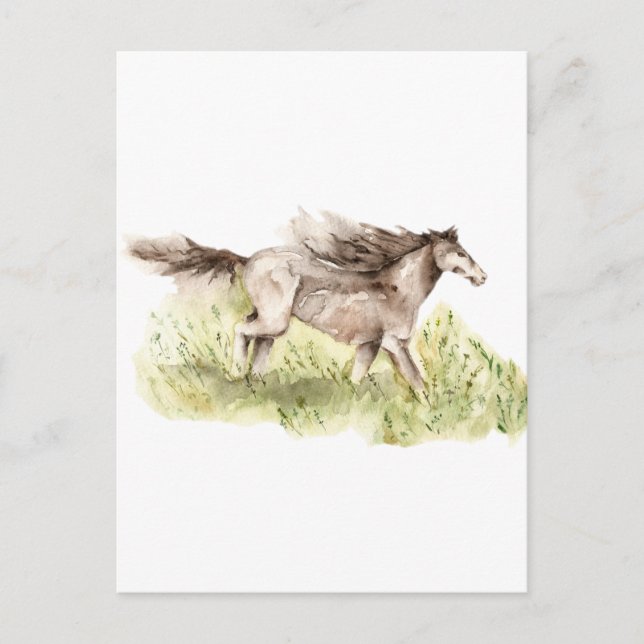 Cartão Postal Cavalo em Execução (Frente)