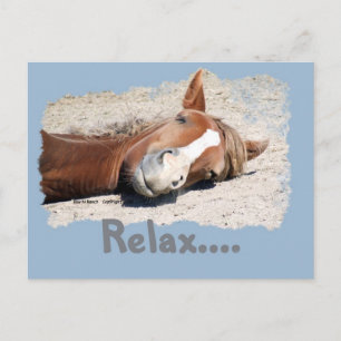 Cartão Postal Cavalo Engraçado: Relaxe