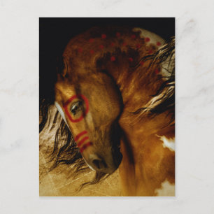 Cartão Postal Cavalo Espírito