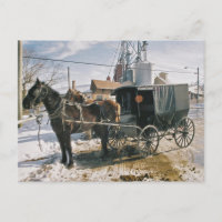 Cavalo estacionado e Buggy