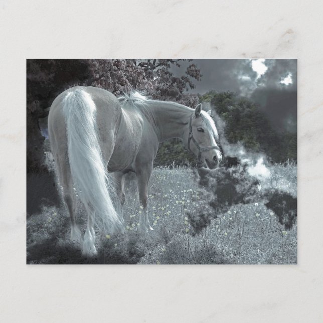 Cartão Postal Cavalo Grazing na Lua (Frente)