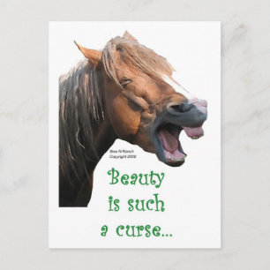 Cartão Postal Cavalo Humorístico: Beleza é uma maldição
