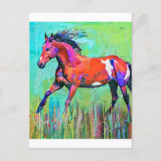 Cartão Postal Cavalo louco