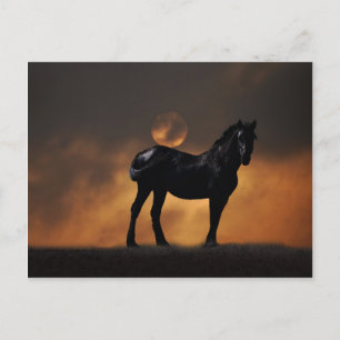 Cartão Postal Cavalo majestoso