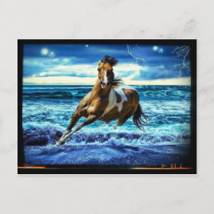 Cartão Postal Cavalo Marinho