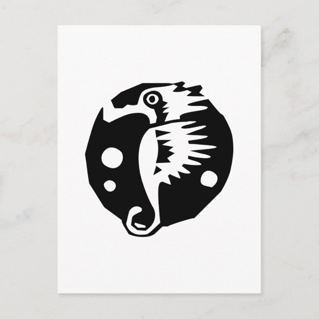 Cartão Postal Cavalo marinho (Frente)