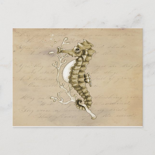 Cartão Postal Cavalo marinho antiquado no fundo do papel do (Frente)