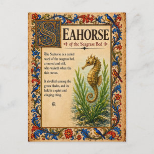 Cartão Postal Cavalo-marinho, Arte do Bestiário Medieval