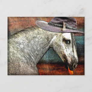 Cartão Postal Cavalo Modesto