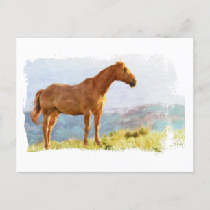 Cartão Postal *~* Cavalo - Montanhas do Monte AR22 Equine Waterc