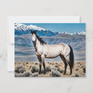 Cartão Postal Cavalo Mustang Espírito do Oeste